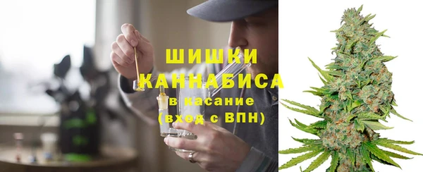 мяу мяу кристалл Богданович
