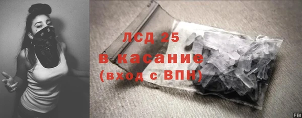 прущие грибы Богородицк