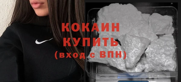 прущие грибы Богородицк