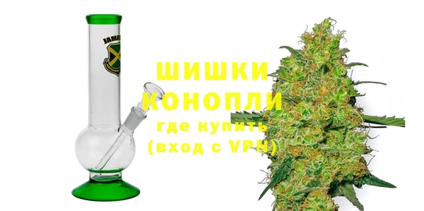 прущие грибы Богородицк