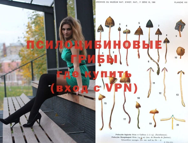 мяу мяу кристалл Богданович