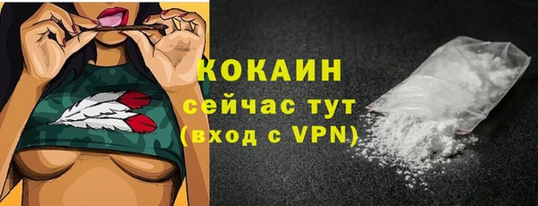 прущие грибы Богородицк