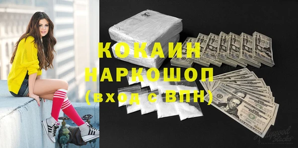 прущие грибы Богородицк