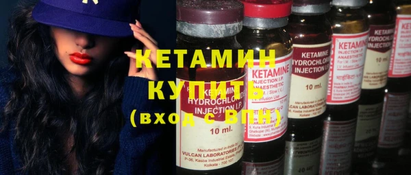 прущие грибы Богородицк