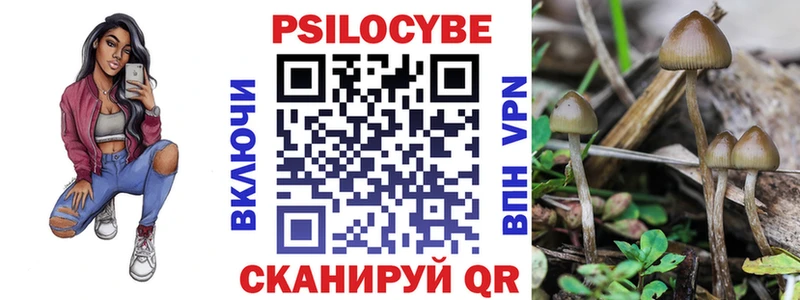Галлюциногенные грибы мицелий  Новороссийск 